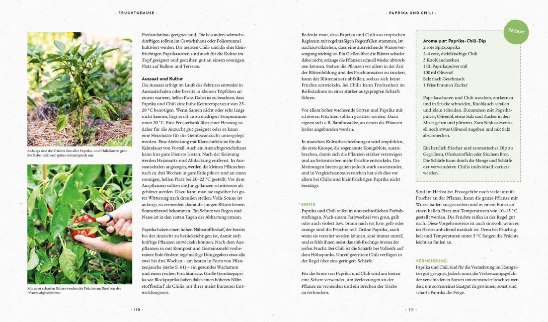 InsideView 10