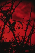 Cover-Bild zum Titel 'Horror Lobby!' von 'Jaap de Wreede'