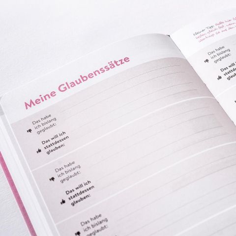 InsideView 6