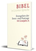 Cover-Bild zum Titel 'Bibel in leichter Sprache' von 'Dieter Bauer, Claudio Ettl, Paulis Mels'