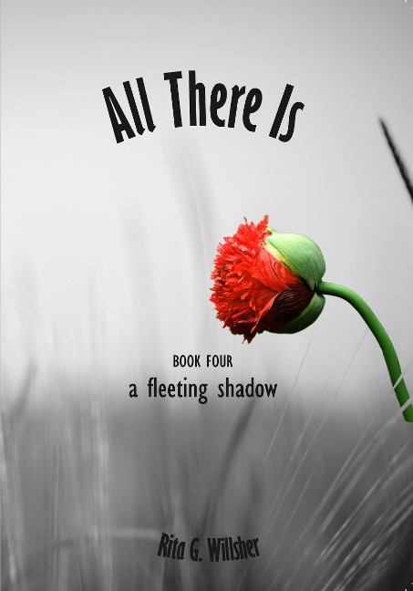 All There Is - Book 4 - A Fleeting Shadow - Rita Willsher