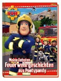 Cover-Bild zum Titel 'Feuerwehrmann Sam: Meine liebsten Feuerwehrgeschichten aus Pontypandy' von 'Katrin Zuschlag'