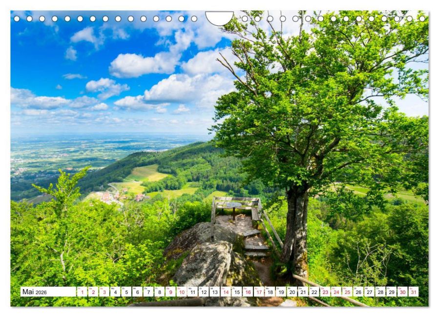 InsideView 10