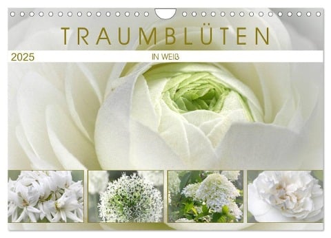 Traumblüten in Weiß (Wandkalender 2025 DIN A4 quer), CALVENDO Monatskalender - Martina Cross