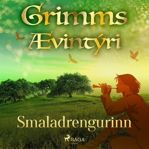 Smaladrengurinn - Grimmsbræður