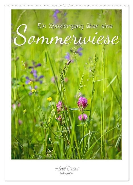 Ein Spaziergang über eine Sommerwiese (Wandkalender 2024 DIN A2 hoch), CALVENDO Monatskalender - Karin Dietzel