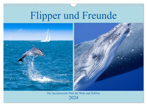 Flipper und Freunde (Wandkalender 2024 DIN A3 quer), CALVENDO Monatskalender - Travelpixx. com Travelpixx. com