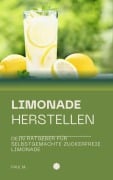 Limonade herstellen - Paul M.