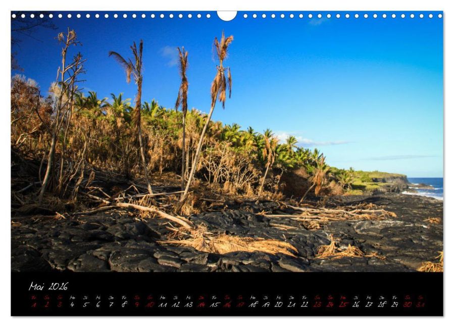 InsideView 10