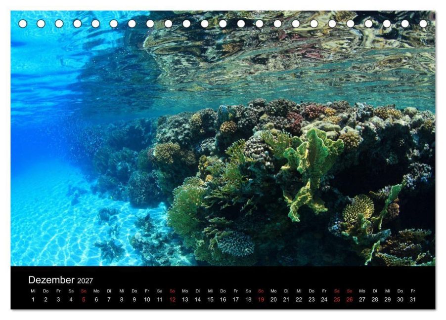 InsideView 4