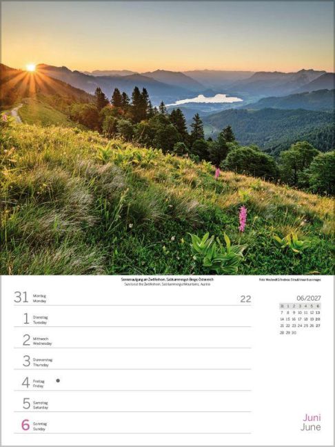 InsideView 7