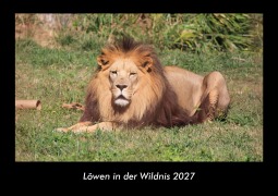 Cover-Bild zum Titel 'Löwen in der Wildnis 2027 Fotokalender DIN A3' von 'Tobias Becker'