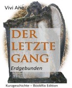 Cover-Bild zum Titel 'Der letzte Gang' von 'Vivi Ane'