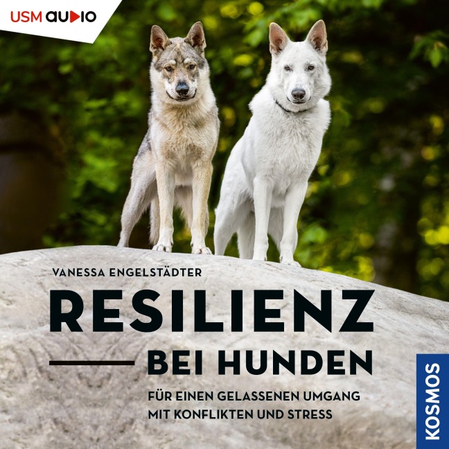 Resilienz bei Hunden - Vanessa Engelstädter