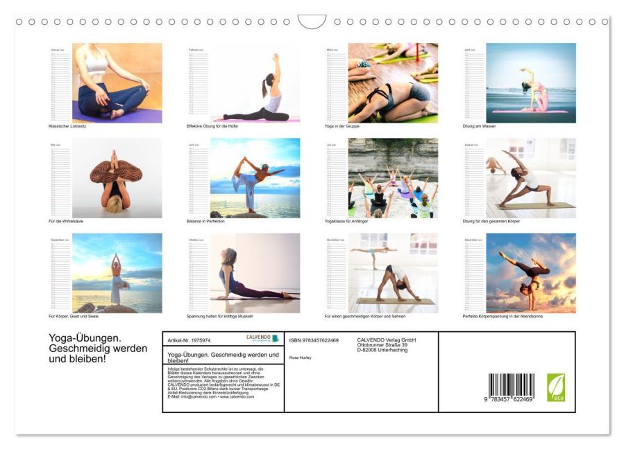 InsideView 5