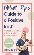 Midwife Pip's Guide to a Positive Birth - Pip Davies