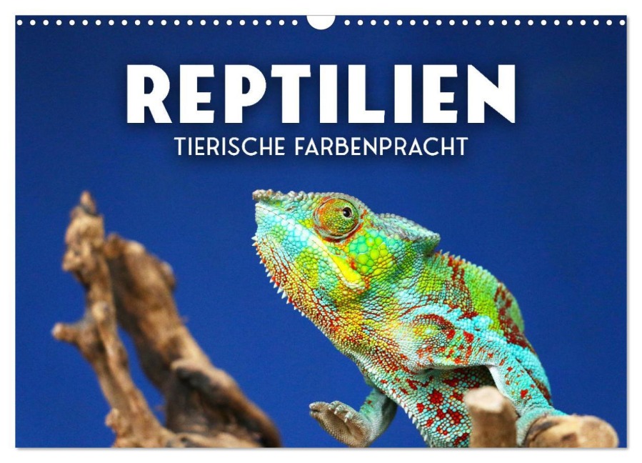 Reptilien - Tierische Farbenpracht (Wandkalender 2026 DIN A3 quer), CALVENDO Monatskalender - Sf Sf