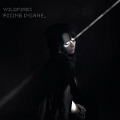 Cover-Bild zum Titel 'Wildfires' von 'Rising Insane'