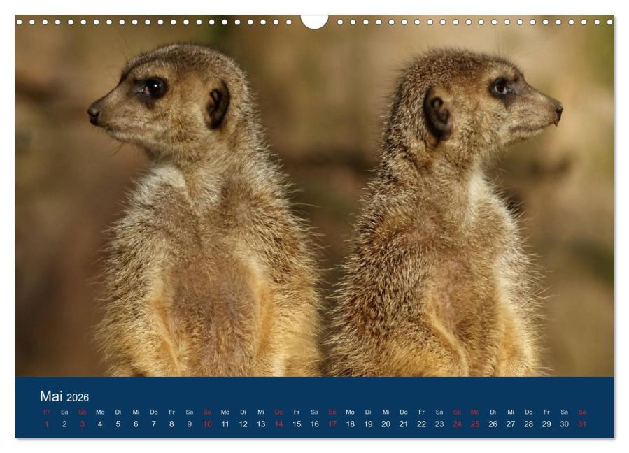 InsideView 10