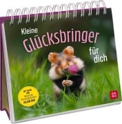 Cover-Bild zum Titel 'Kleine Glücksbringer für dich' von 'Julian Rad'