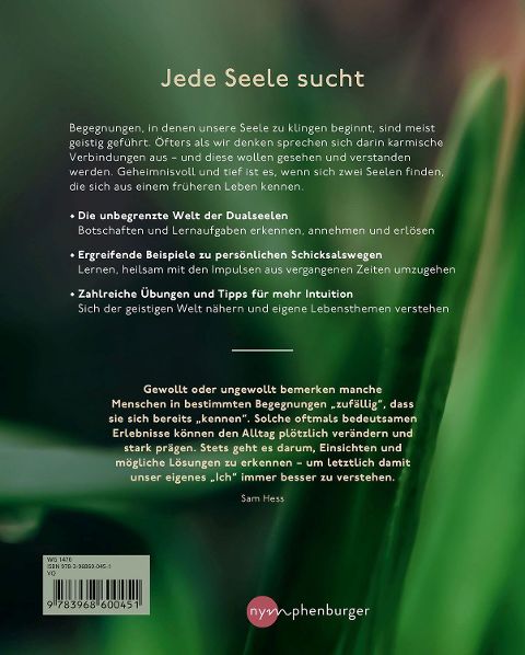InsideView 1