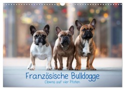 Französische Bulldogge - Clowns auf vier Pfoten (Wandkalender 2025 DIN A3 quer), CALVENDO Monatskalender - Sabrina Wobith Photography - FotosVonMaja