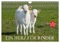 Ein Herz für Rinder (Wandkalender 2024 DIN A4 quer), CALVENDO Monatskalender - Sigrid Starick