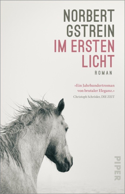 Im ersten Licht - Norbert Gstrein
