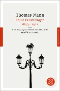 Cover-Bild zum Titel 'Frühe Erzählungen 1893-1912' von 'Thomas Mann'