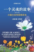 Cover-Bild zum Titel 'Story of a Soul in Simplified Chinese' von 'Ruijie Rachel Liu'
