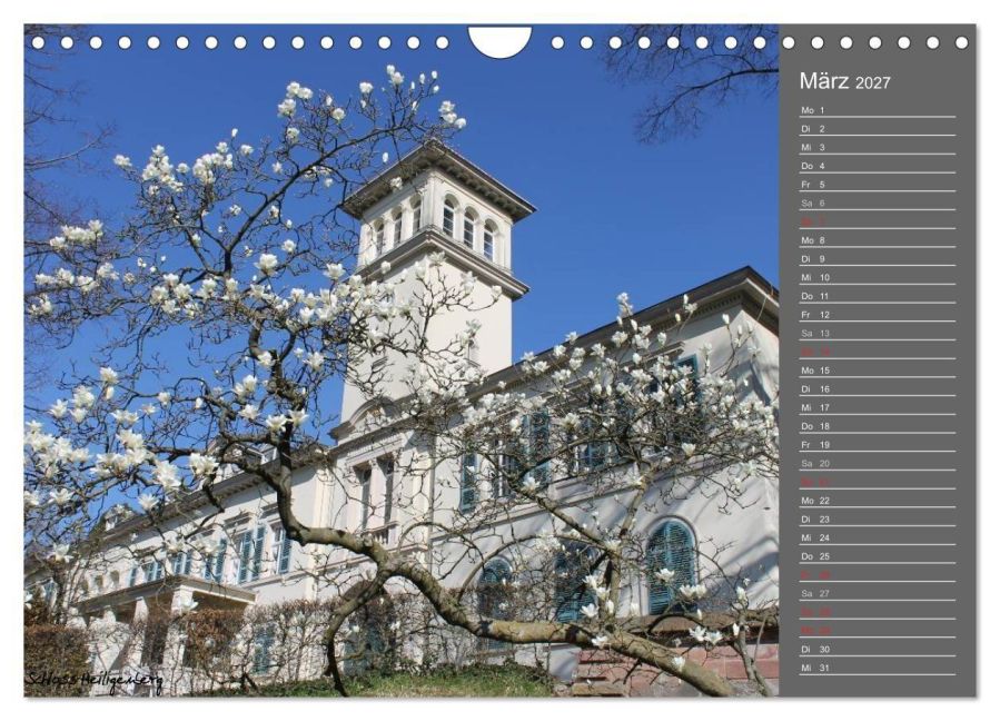 InsideView 8