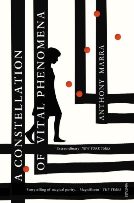 A Constellation of Vital Phenomena - Anthony Marra