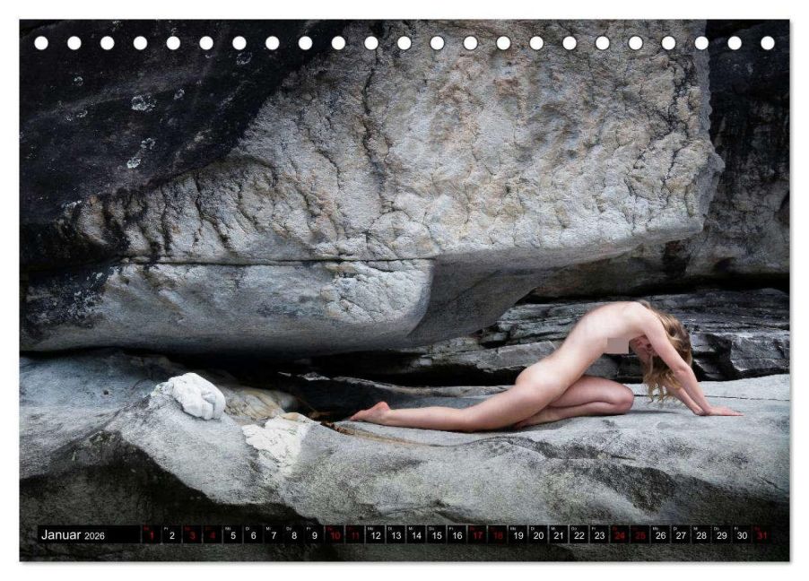 InsideView 6
