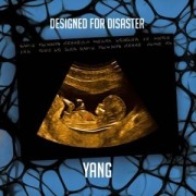 Cover-Bild zum Titel 'Designed For Disaster' von 'Yang'