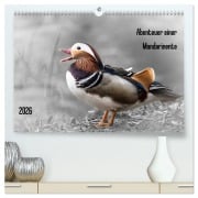 Cover-Bild zum Titel 'Abenteuer einer Mandarinente (hochwertiger Premium Wandkalender 2026 DIN A2 quer), Kunstdruck in Hochglanz' von 'LaPics LaPics'