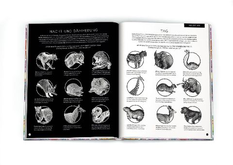 InsideView 5
