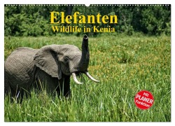 Cover-Bild zum Titel 'Elefanten . Wildlife in Kenia (Wandkalender 2026 DIN A2 quer), CALVENDO Monatskalender' von 'Susan Michel'