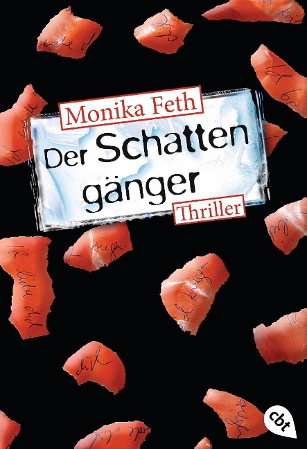 Der Schattengänger - Monika Feth