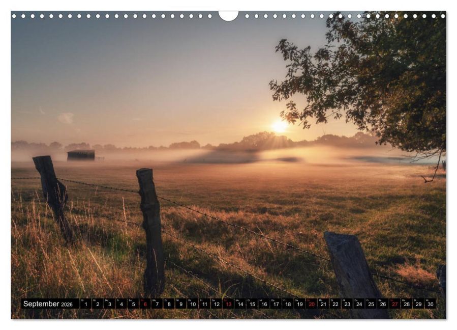 InsideView 14