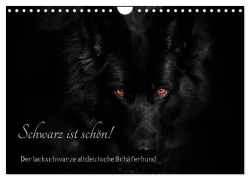 Cover-Bild zum Titel 'Schwarz ist schön! Der lackschwarze altdeutsche Schäferhund (Wandkalender 2026 DIN A4 quer), CALVENDO Monatskalender' von 'Rena Werz'