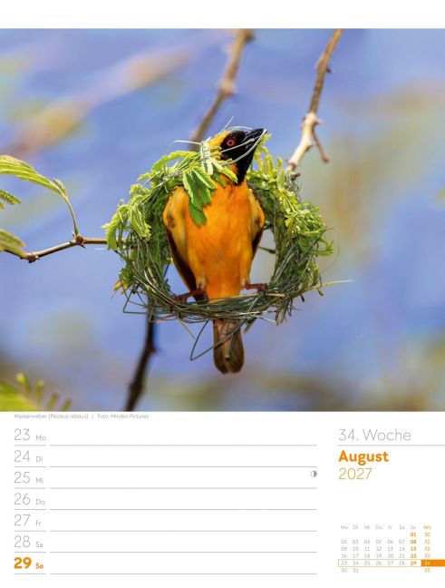 InsideView 38
