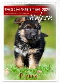 Deutscher Schäferhund - Welpen, Planer (Wandkalender 2024 DIN A3 hoch), CALVENDO Monatskalender - Petra Schiller