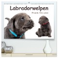 Labradorwelpen - Freunde fürs Leben (hochwertiger Premium Wandkalender 2025 DIN A2 quer), Kunstdruck in Hochglanz - Photodesign Krätschmer