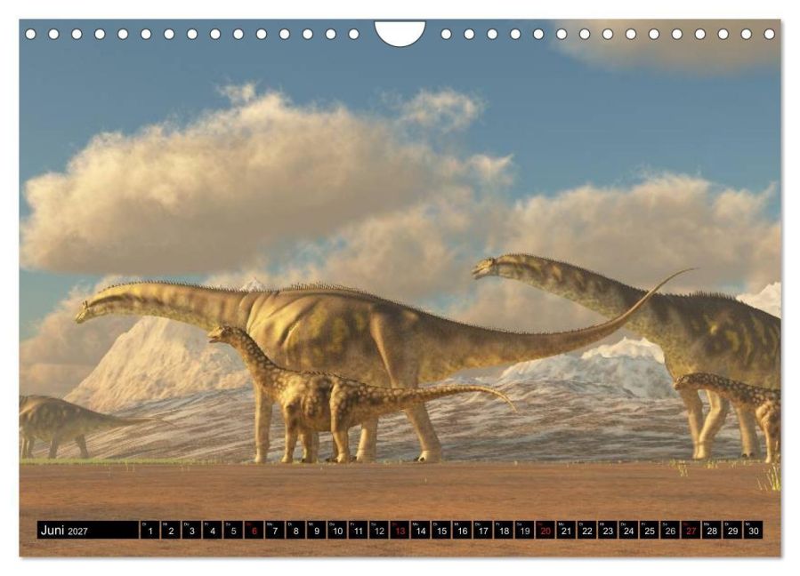 InsideView 11
