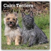 Cover-Bild zum Titel 'Cairn Terriers 2027 - 16-Monatskalender' von 'Browntrout Publishers'