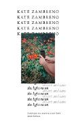 Cover-Bild zum Titel 'The Light Room' von 'Kate Zambreno'