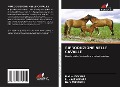 Cover-Bild zum Titel 'RIPRODUZIONE NELLE CAVALLE' von 'Malika Dekhar, Liza Ait Ammar, Nora Mimoune'
