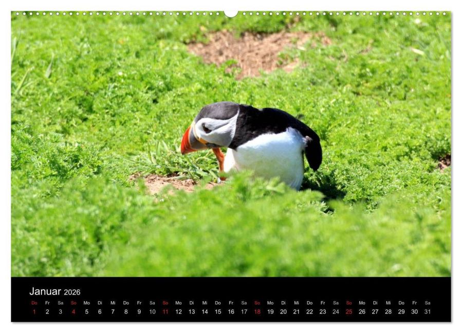 InsideView 6