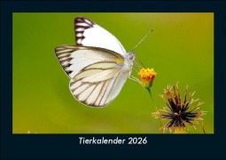 Cover-Bild zum Titel 'Tierkalender 2026 Fotokalender DIN A5' von 'Tobias Becker'