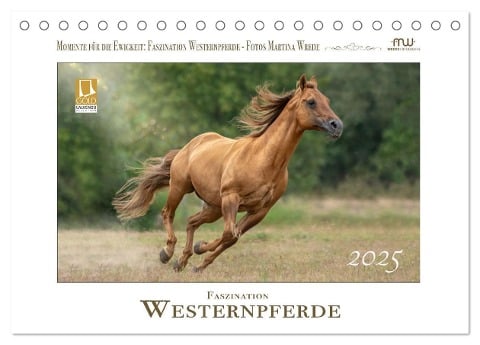 Faszination Westernpferde (Tischkalender 2025 DIN A5 quer), CALVENDO Monatskalender - Martina Wrede - Wredefotografie